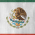 Mexico Flag Distressed iPhone XR Skin